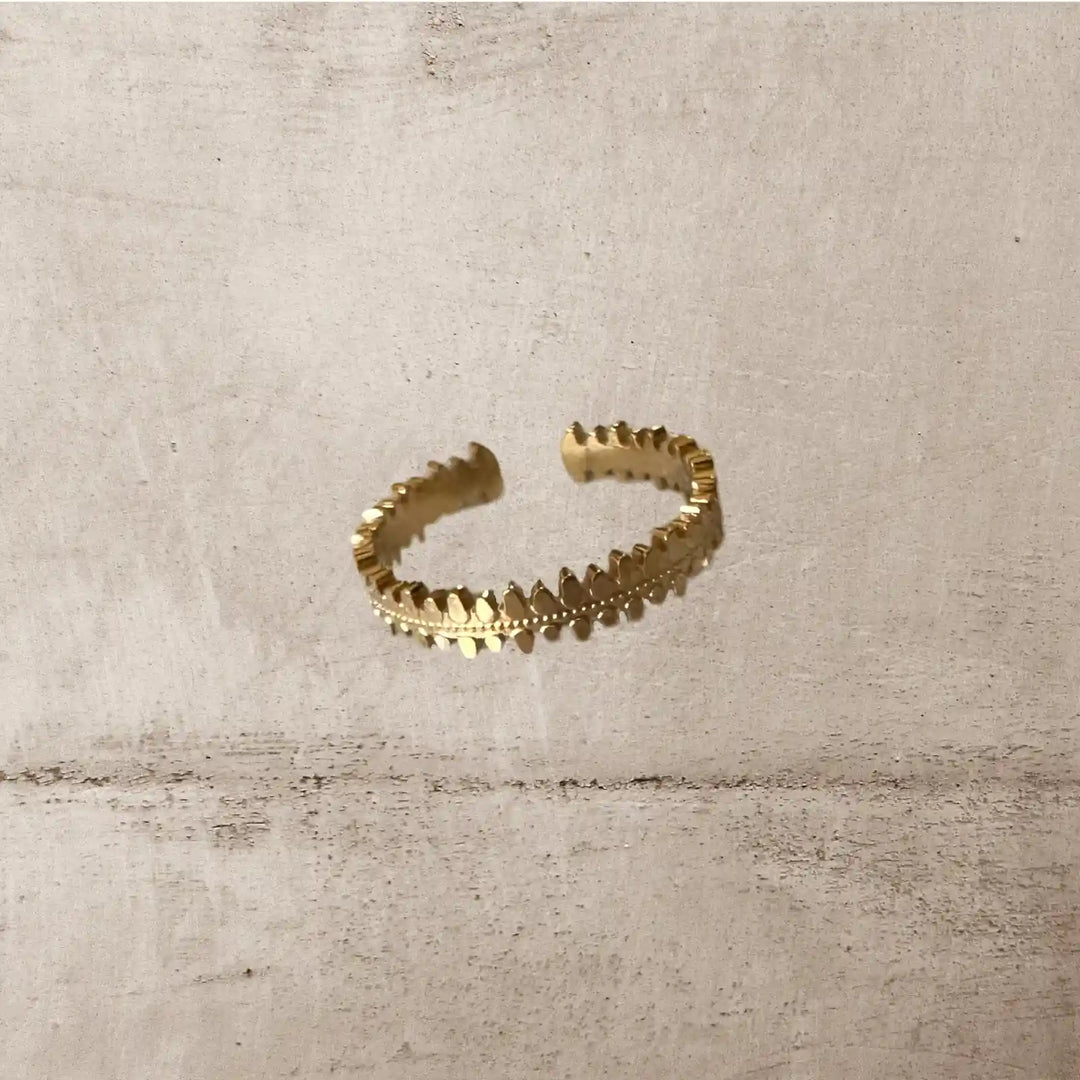 VALLIÈRES RING