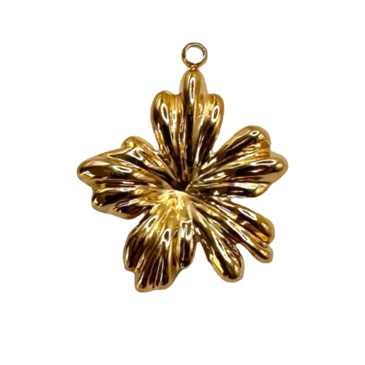 BOTANIC CHARMS APP